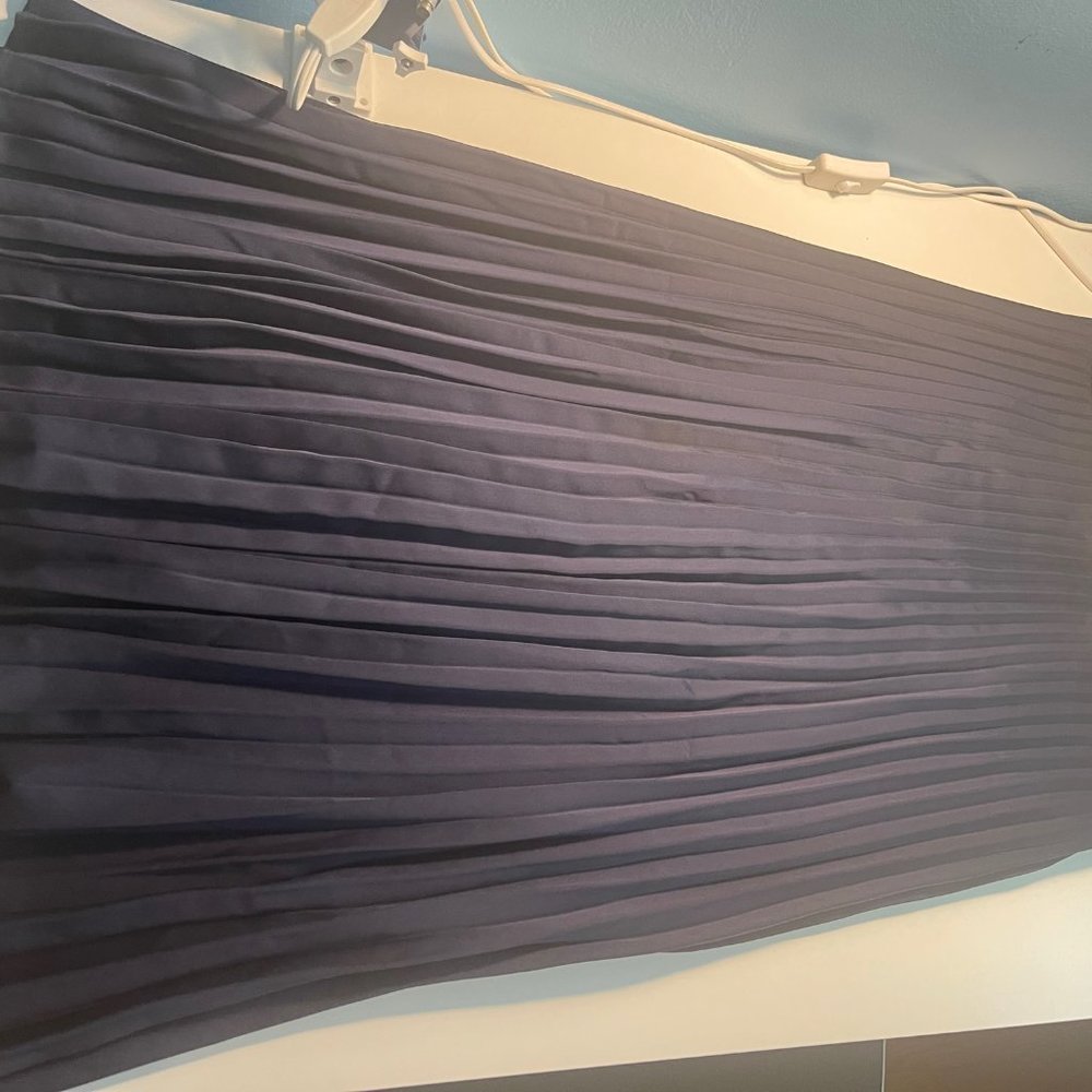 JCrew Pleated Skirt